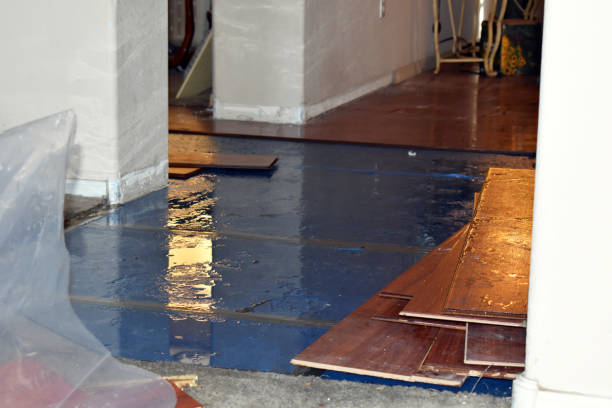 Professional Burst Pipe Cleanup technician working in Colbert, OK